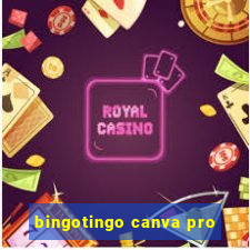 bingotingo canva pro